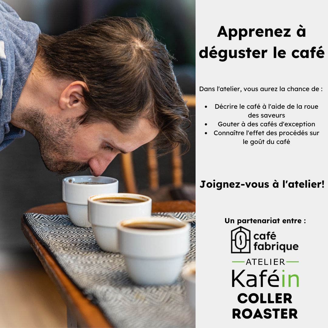 Coffee Tasting Workshop