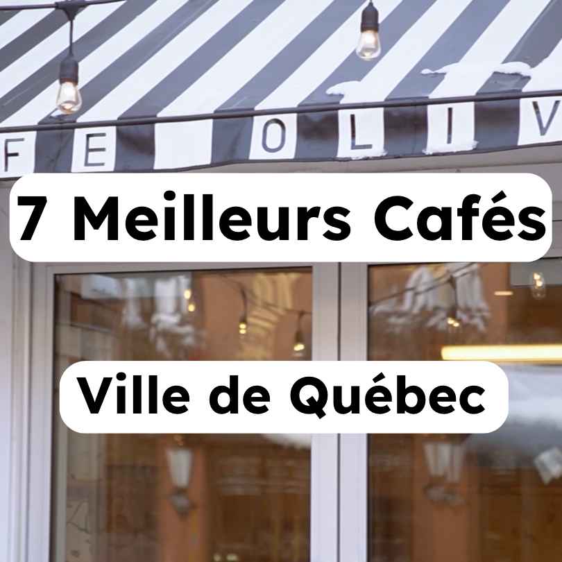https://cafefabrique.com/cdn/shop/articles/7_Meilleurs_Cafes.jpg?v=1673561409