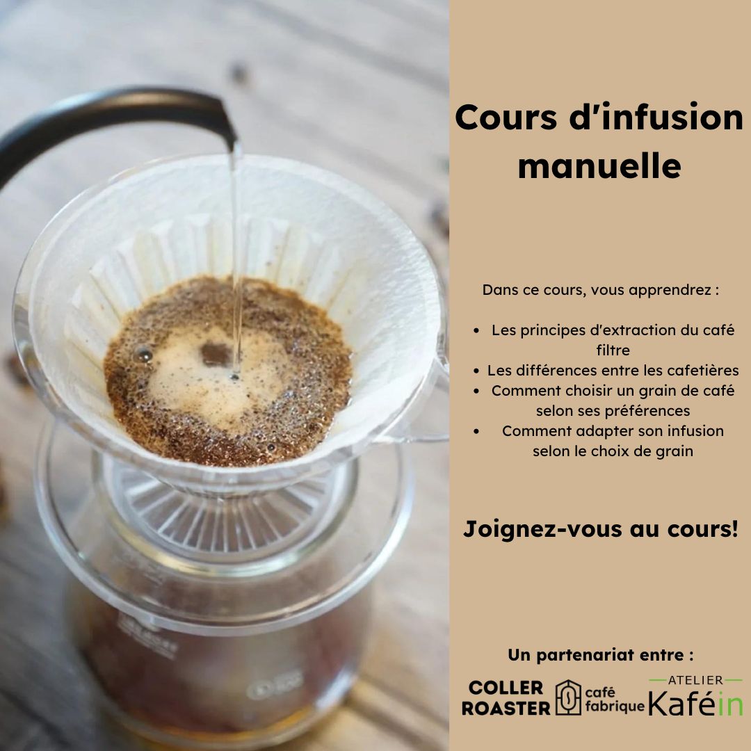Filter Coffee Training - Image 1