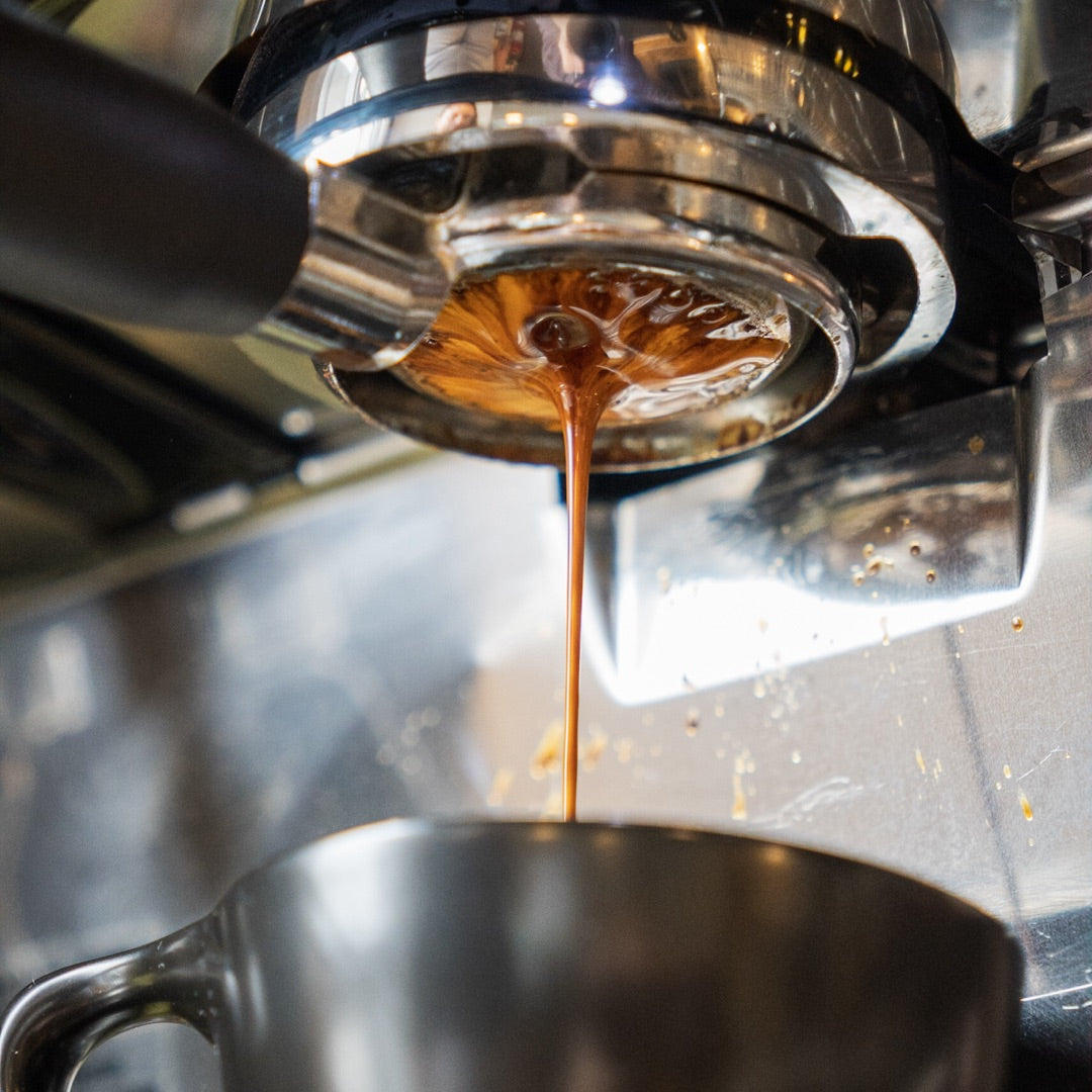 Espresso 101 Course - Image 1